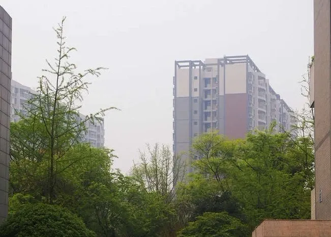 大华水映岛2室1厅1卫东南朝向1800.00元/月出租