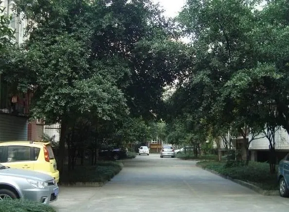 金桂花园(温江)3室1厅2卫东南朝向1300.00元/月出租