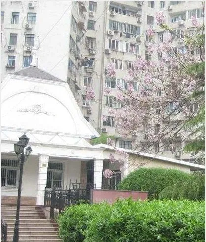 天华公寓2室1厅1卫南朝向7800.00元/月出租