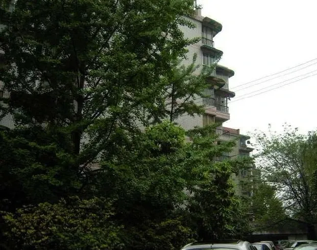 玉林北巷8号院2室1厅1卫南北朝向1200.00元/月出租