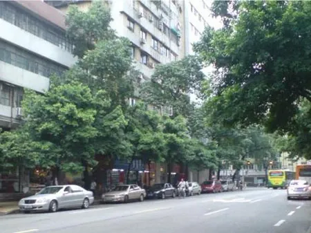 广仁路小区3室1厅1卫南北朝向5500.00元/月出租