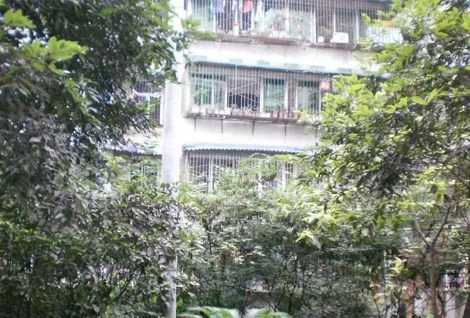 交通局单位宿舍4室1厅2卫南北朝向3600.00元/月出租