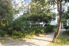 水仙坊2室1厅1卫南朝向1400.00元/月出租