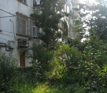 水仙坊3室1厅1卫南朝向1450.00元/月出租