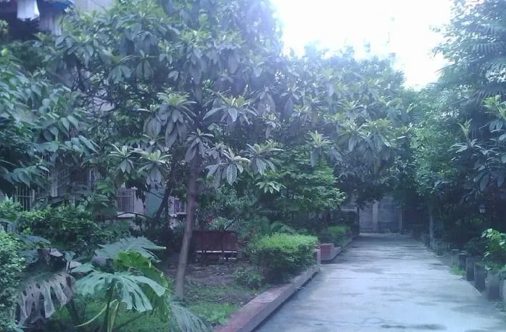 武侯工商局职工房3室1厅1卫东南朝向2600.00元/月出租