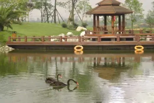 龙城一号5室2厅2卫西南朝向3600.00元/月出租