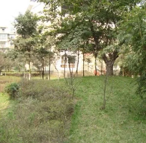 金犀庭苑4室2厅1卫东朝向1450.00元/月出租