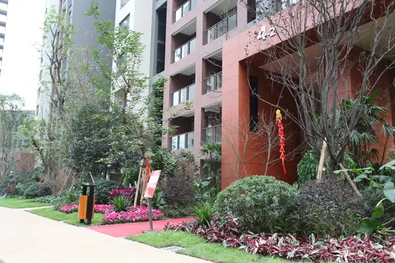 龙湖北城天街一期3室1厅1卫南朝向3000.00元/月出租