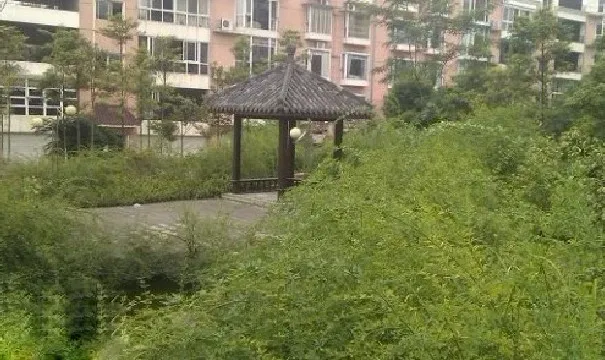 警苑小区4室2厅2卫东西南北朝向1600.00元/月出租
