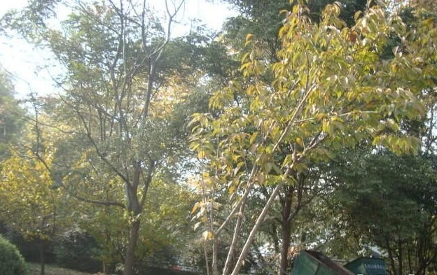 五台山小区二手房实景图