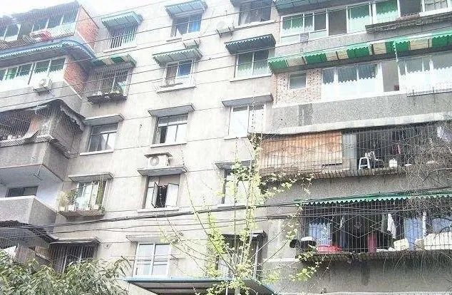 整租·金鱼街9号 2室1厅 南