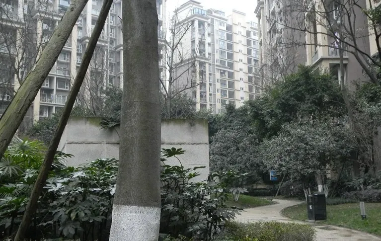 中海国际社区橙郡一期2室2厅1卫南朝向2600.00元/月出租