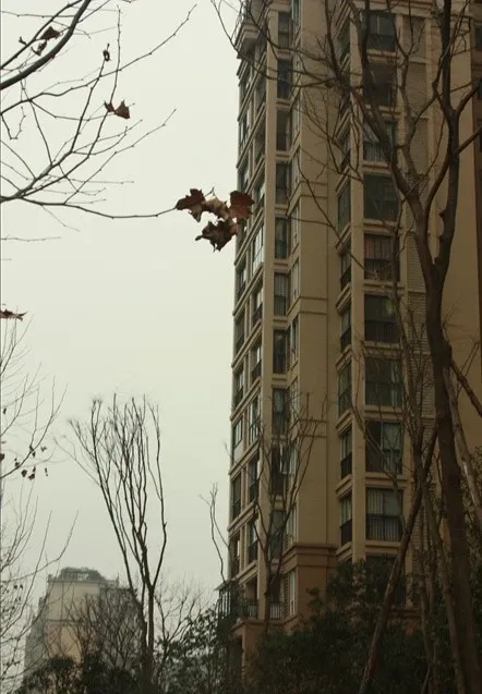 中海国际社区橙郡一期3室2厅2卫东南朝向2600.00元/月出租