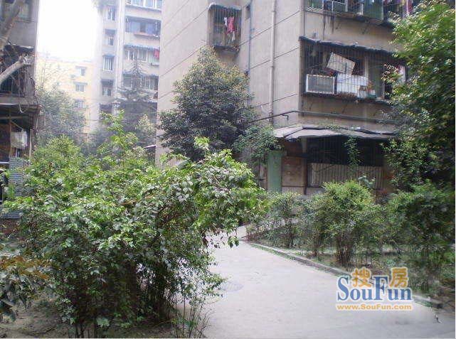 战旗东路9号院1室1厅1卫南朝向1501.00元/月出租