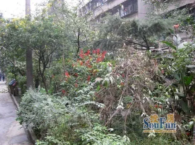 战旗东路7号 2室 1厅 56.65平米