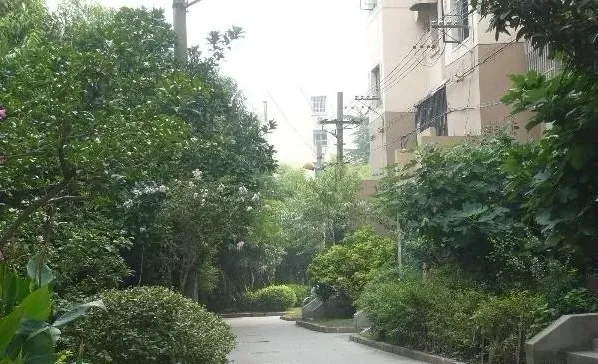 龙漕路66弄小区2室1厅1卫南朝向5500.00元/月出租