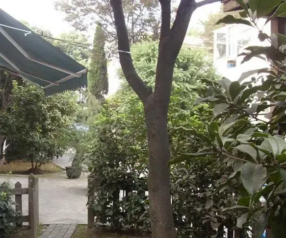 独栋别墅,大开间,品质小区,精装修,精装好房