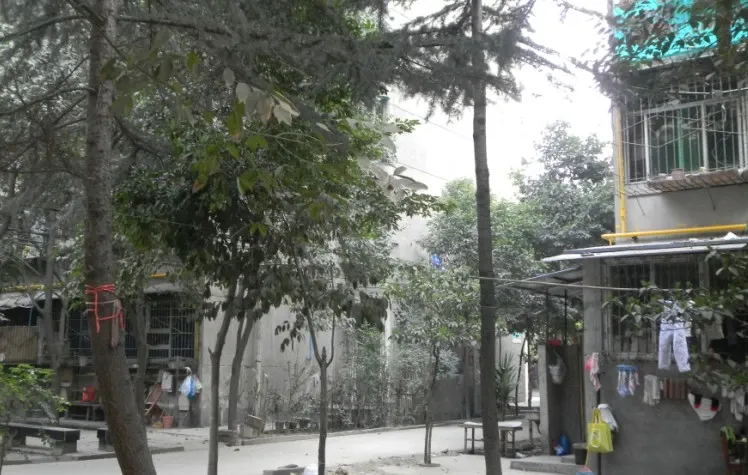 战旗东路9号院2室1厅1卫东南朝向1600.00元/月出租