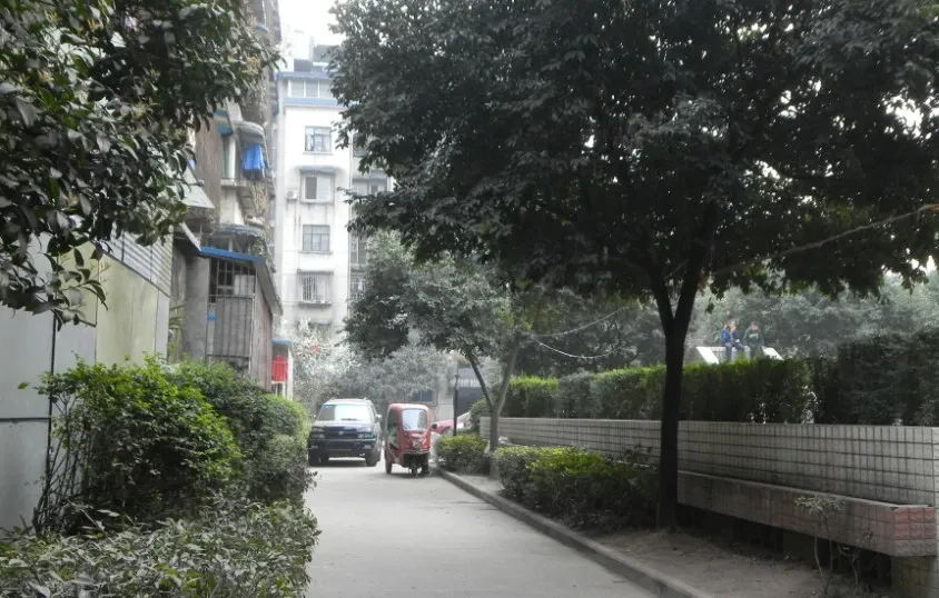 锦欣苑3室1厅1卫东南朝向2400.00元/月出租