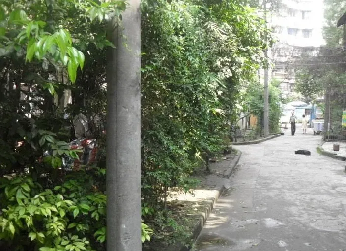 清溪南街16号院2室1厅1卫南朝向1700.00元/月出租