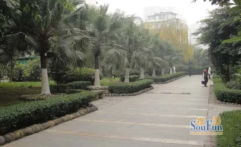 红帆风林假日2室1厅1卫东南朝向2000.00元/月出租