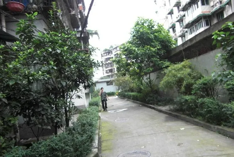 整租·攀钢苑 2室1厅 南