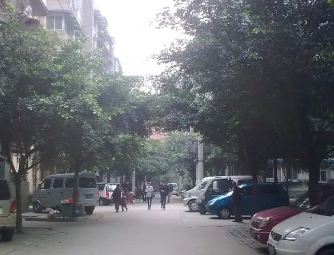 星河路67号院1室1厅1卫东南朝向1400.00元/月出租