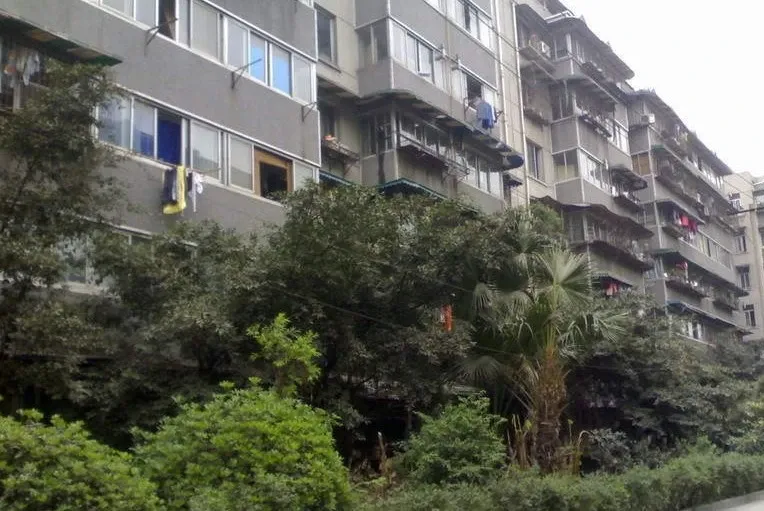 星河路67号院2室1厅1卫东南朝向1500.00元/月出租