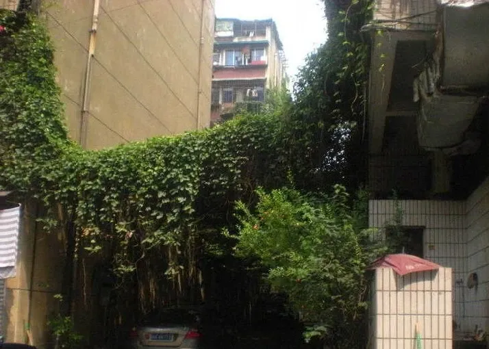 营康巷32号院3室1厅1卫东西南朝向2800.00元/月出租