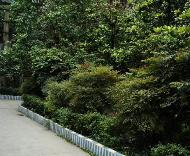 育苗路10号院2室1厅1卫东南朝向1800.00元/月出租
