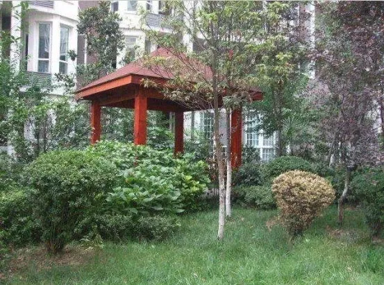 云翔远景2室1厅1卫东南朝向3000.00元/月出租