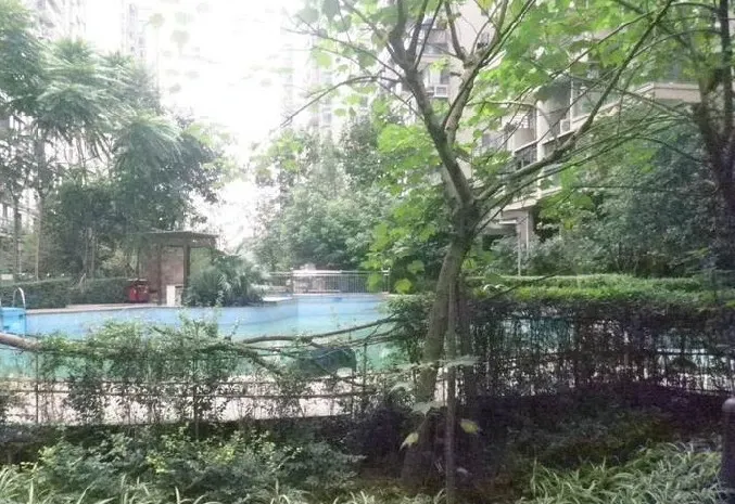 整租·中铁双龙湾 4室2厅 跃层 南/北