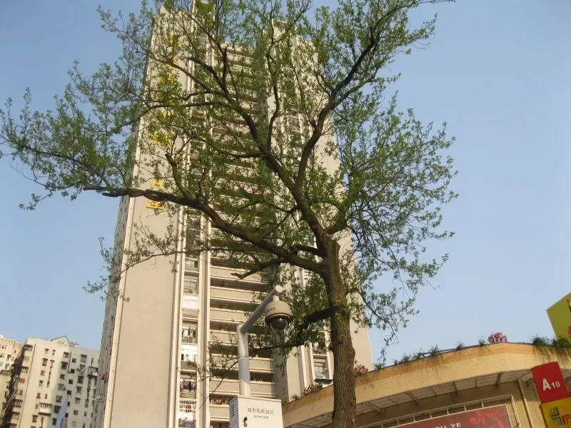 泰源轻纺城1室1厅1卫东南朝向1000.00元/月出租