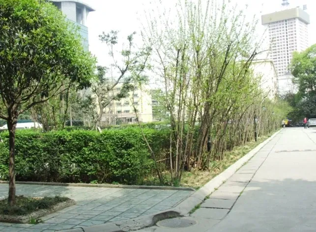 浣花北路1号院3室2厅1卫南北朝向2900.00元/月出租