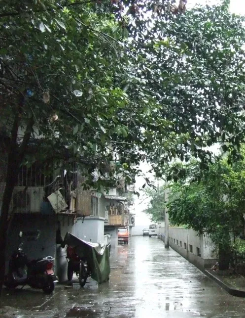 浣花小区(青羊)2室1厅1卫南北朝向2100.00元/月出租