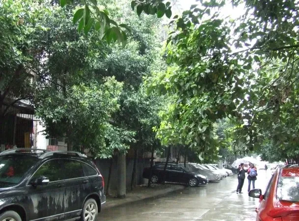 浣花小区(青羊)2室1厅1卫南朝向1900.00元/月出租