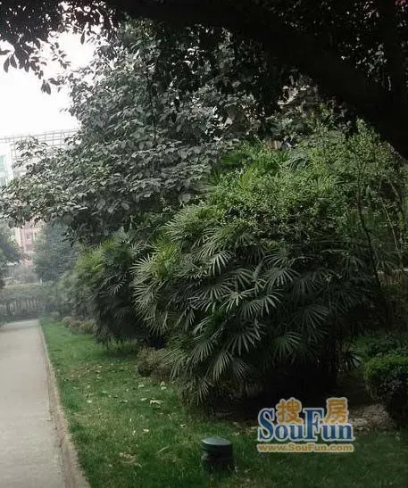 交大东园4室1厅2卫南北朝向3200.00元/月出租