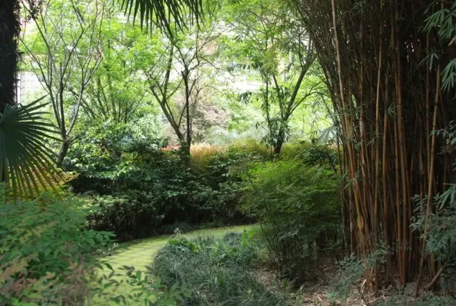 建信奥林匹克花园3室2厅2卫东朝向2500.00元/月出租