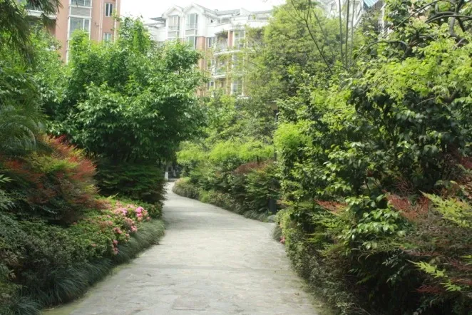 建信奥林匹克花园1室1厅1卫东南朝向1250.00元/月出租