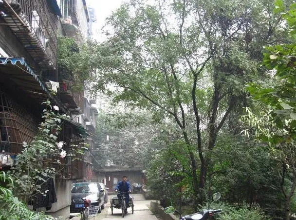 红花南路29号院2室1厅1卫东朝向1600.00元/月出租