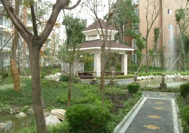 金阳丽景2室1厅1卫南朝向800.00元/月出租