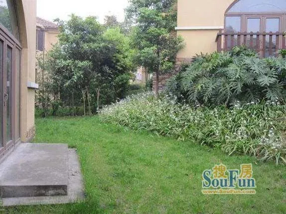 整租·萨尔茨堡 5室2厅 东南