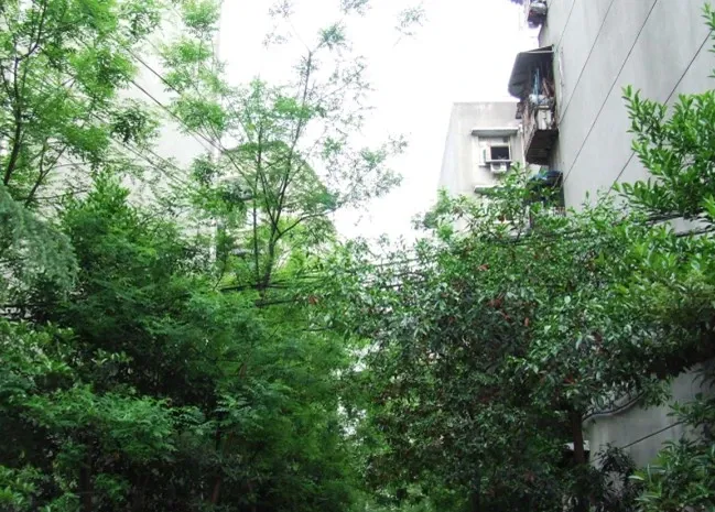 交桂一巷11号院2室1厅1卫东朝向1400.00元/月出租