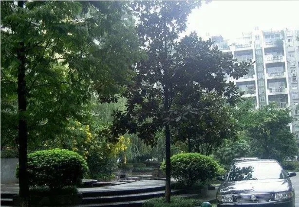 大华情融苑4室2厅2卫西南朝向4000.00元/月出租