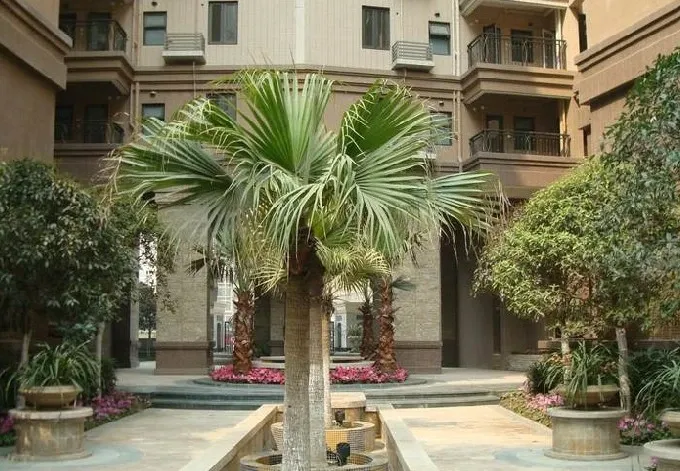 整租·中海龙湾半岛 3室2厅 南