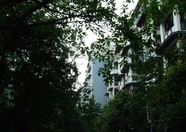 懋园西沿风景3室2厅2卫南朝向2600.00元/月出租