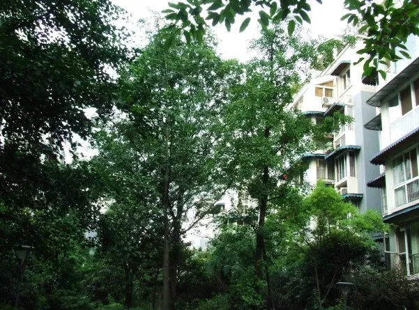懋园西沿风景3室2厅2卫东西南北朝向2800.00元/月出租