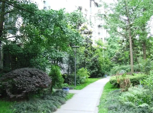 懋园西沿风景3室2厅1卫东南朝向2400.00元/月出租