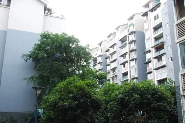 懋园西沿风景3室2厅2卫东南朝向3200.00元/月出租