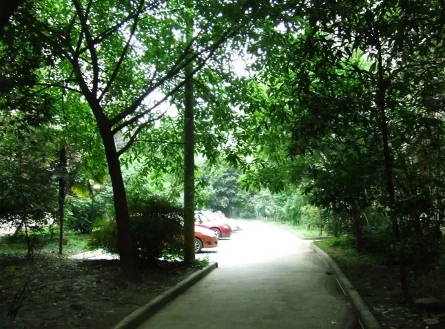 新莲新苑2室1厅1卫东南朝向1900.00元/月出租